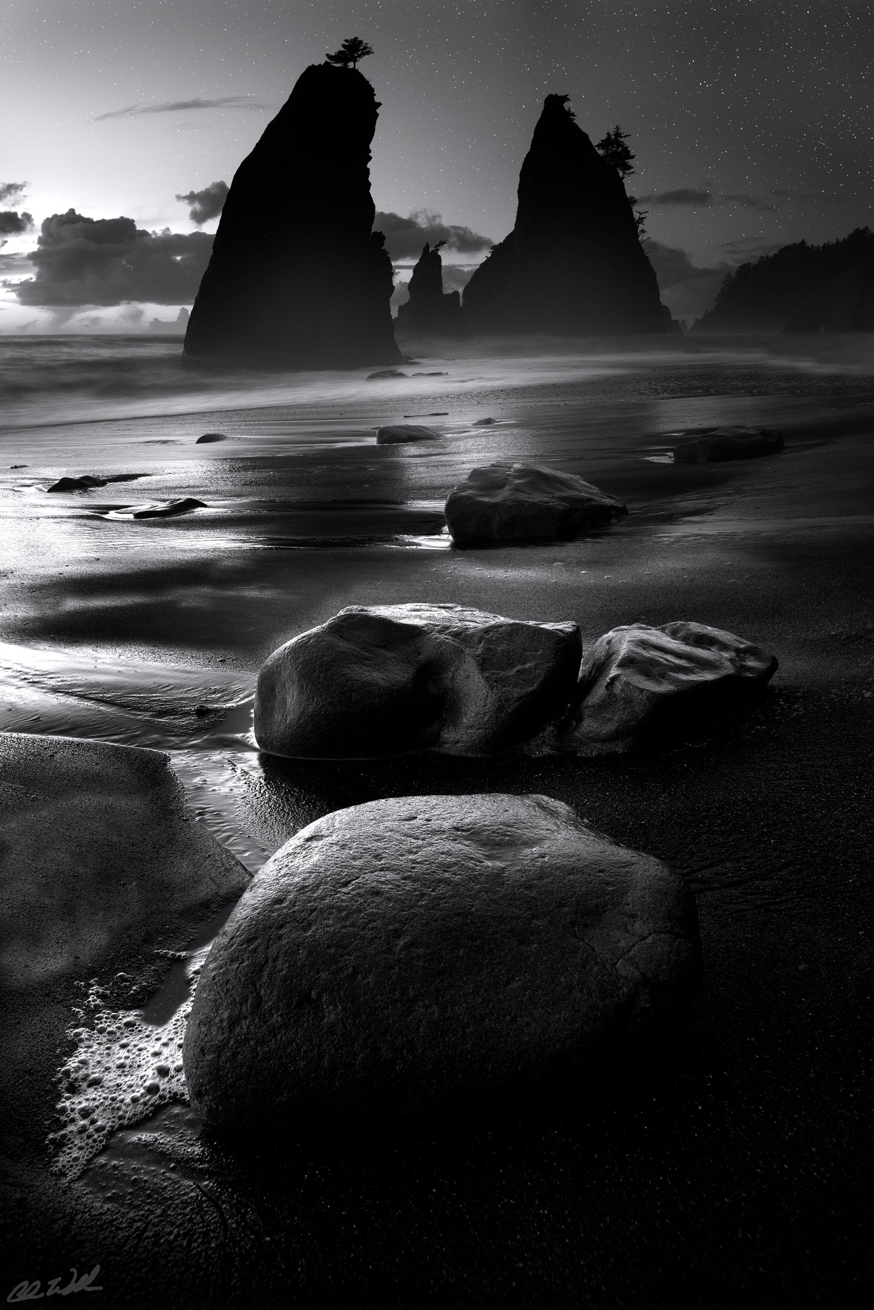 Interview with Chris Williams