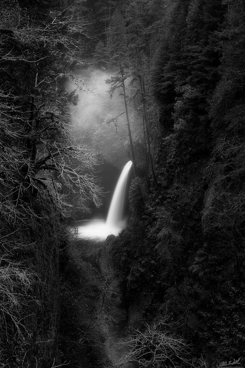 Interview with Chris Williams