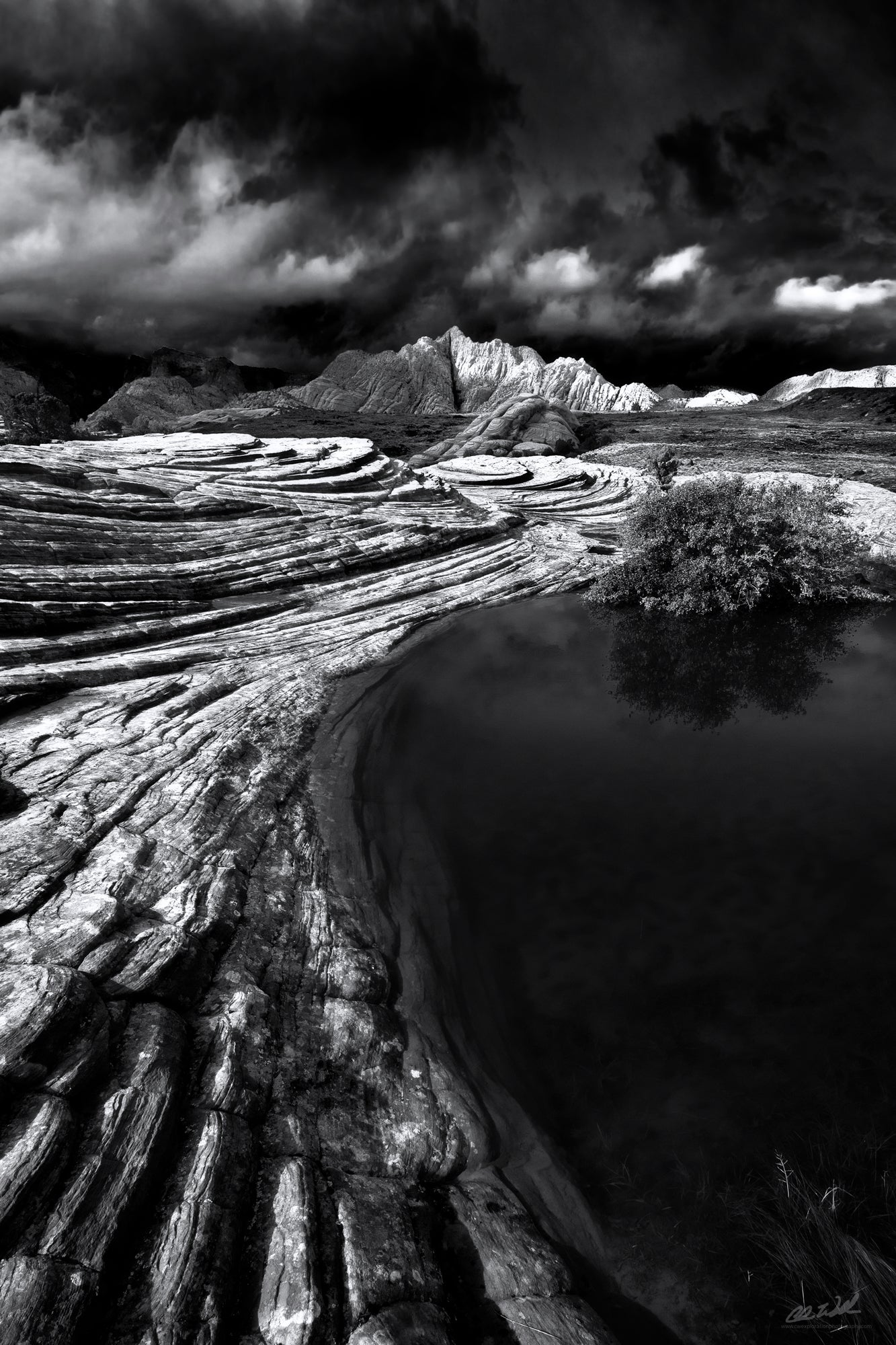 Interview with Chris Williams