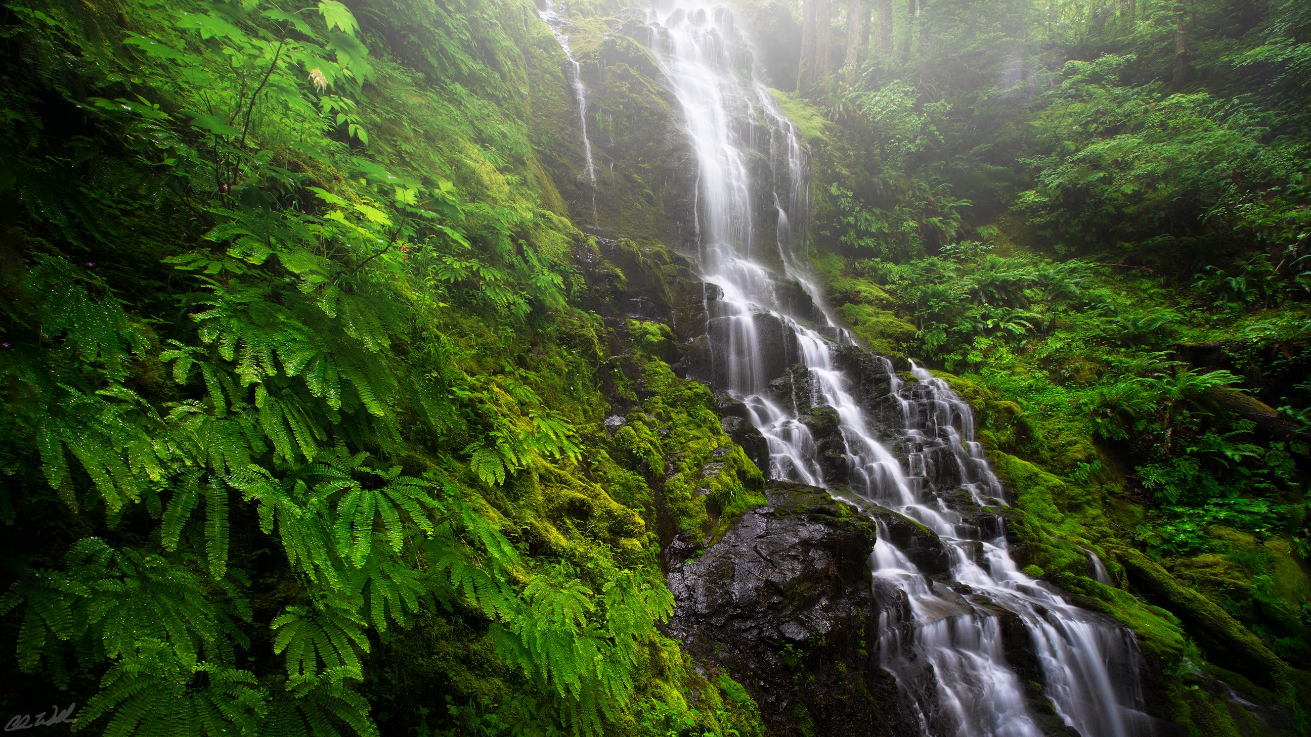 Interview with Chris Williams