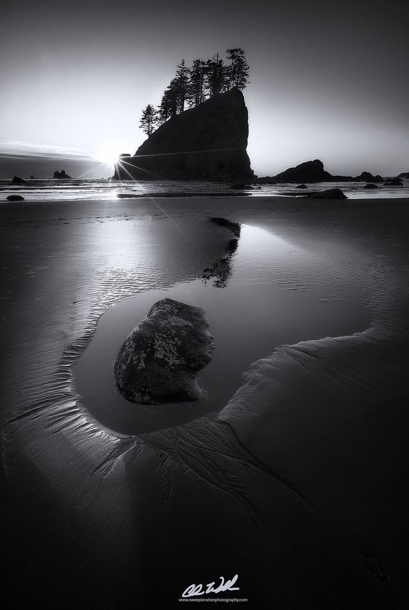 Interview with Chris Williams