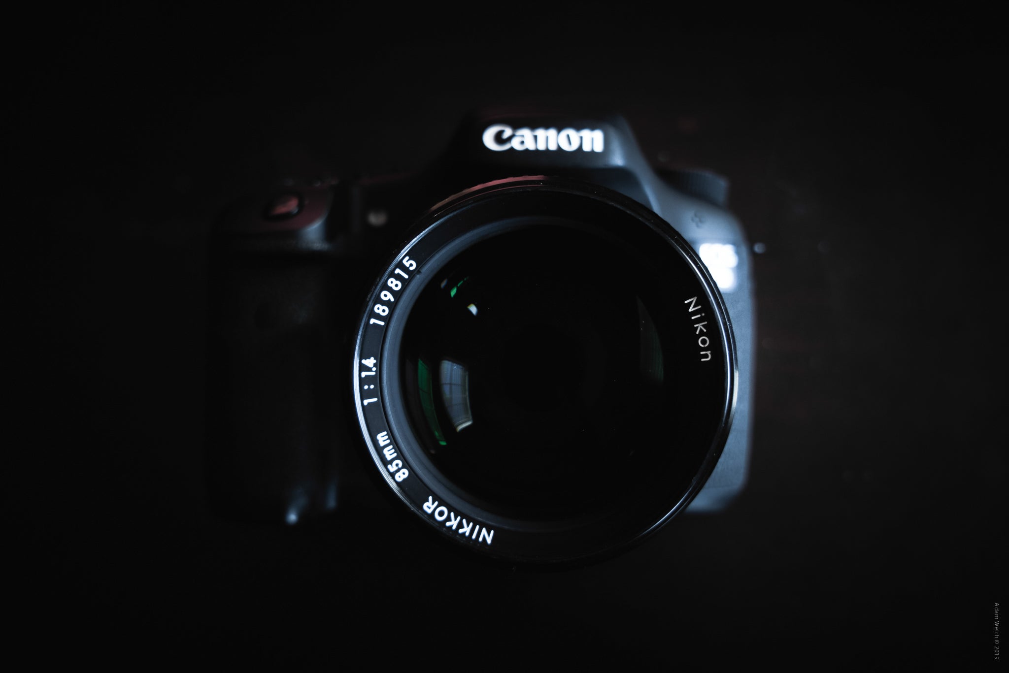 Which Camera Lens to Use? An Introduction to Focal Lengths