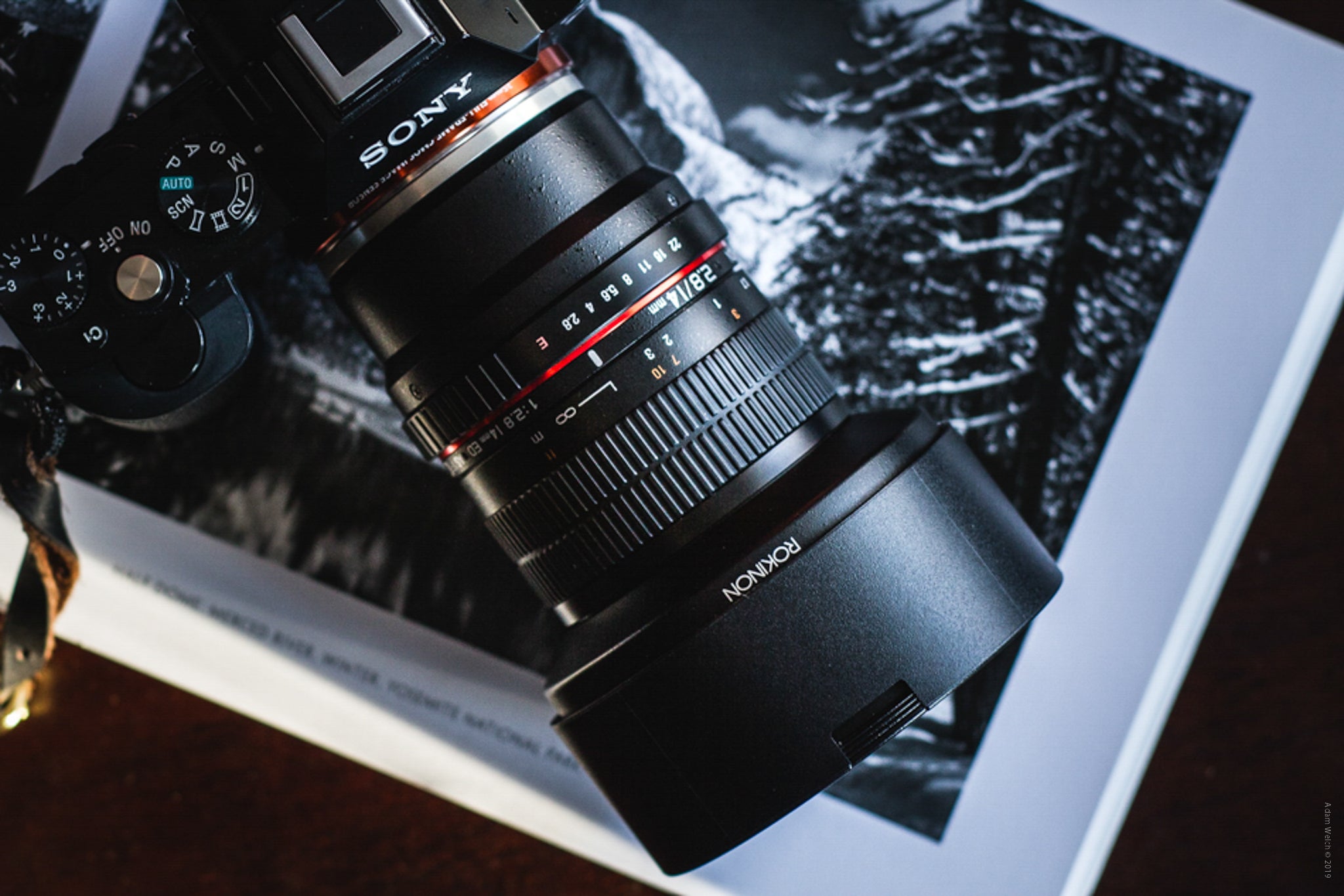 Which Camera Lens to Use? An Introduction to Focal Lengths