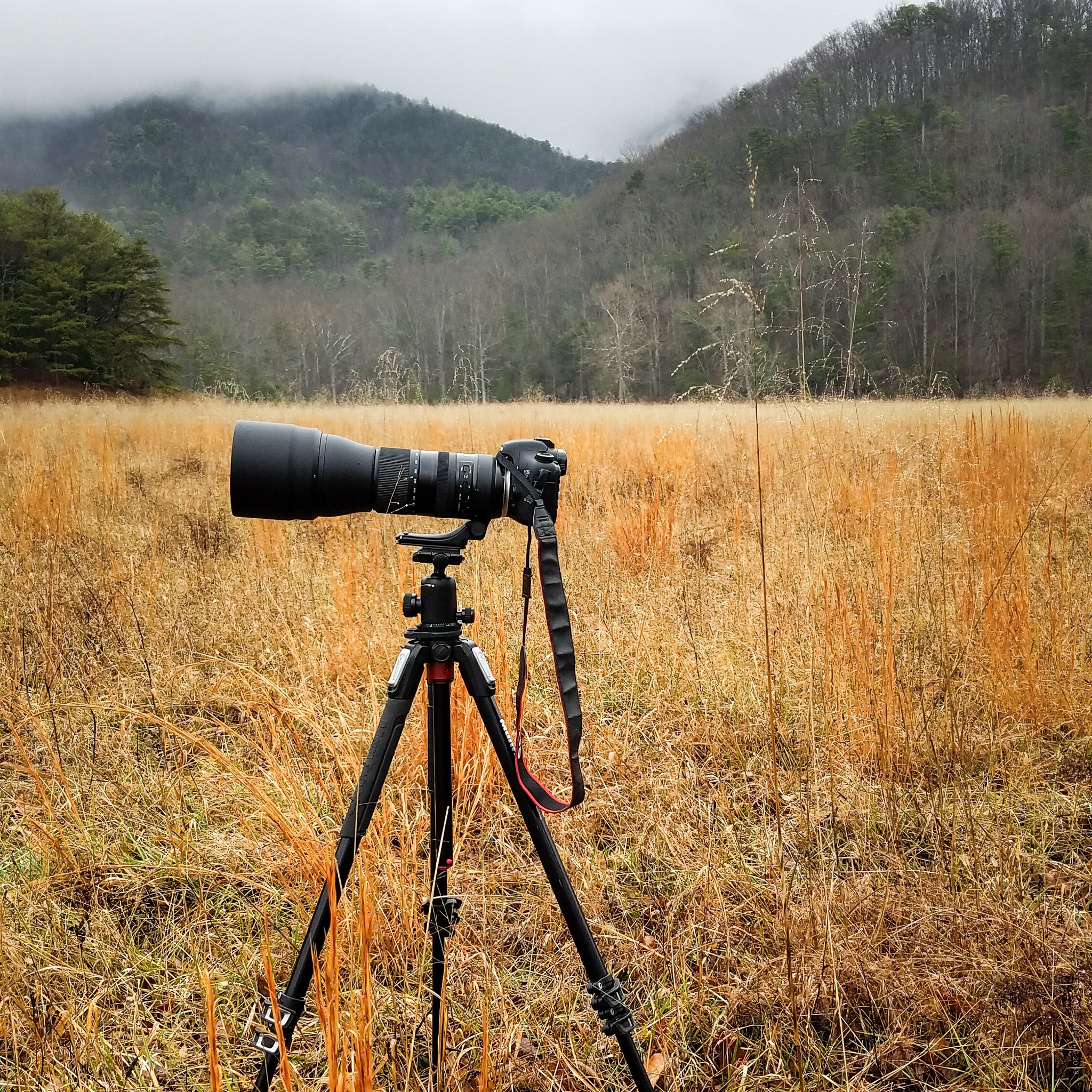 Which Camera Lens to Use? An Introduction to Focal Lengths