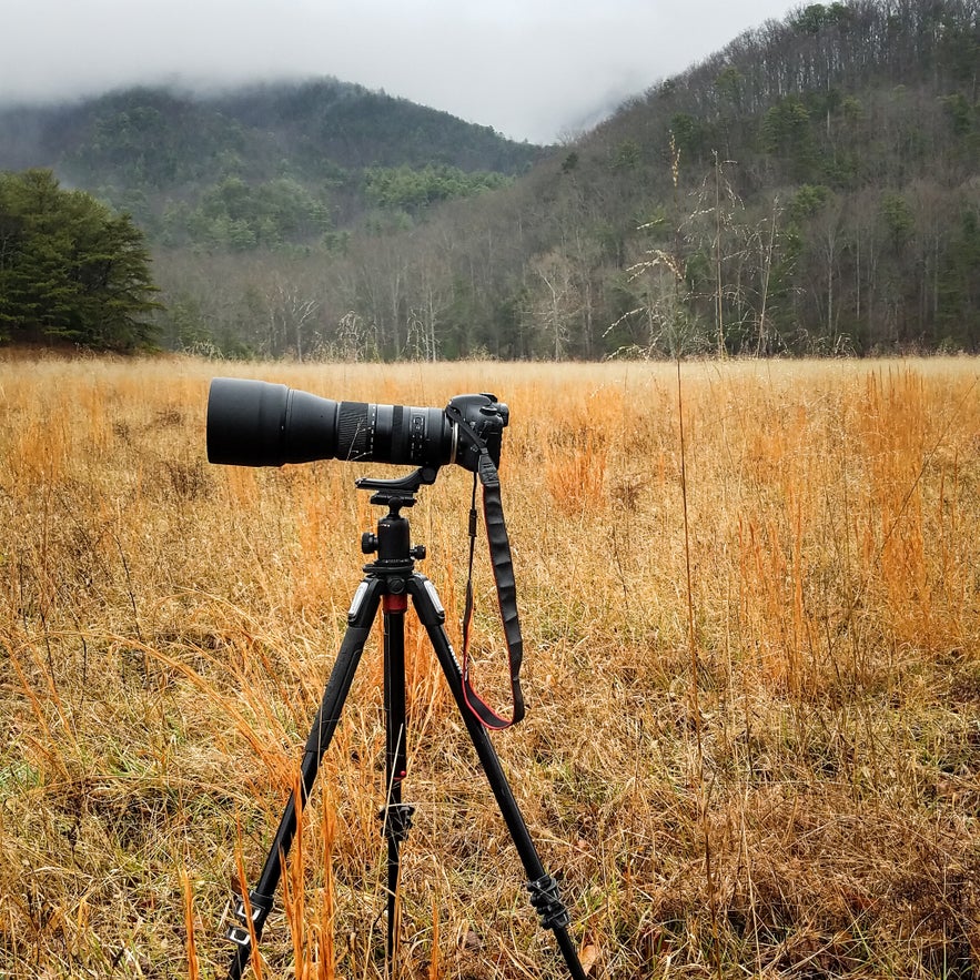 Which Camera Lens to Use? An Introduction to Focal Lengths Which Camera Lens to Use? An Introduction to Focal Lengths