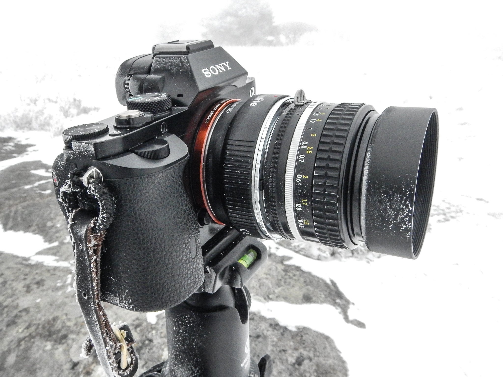 Which Camera Lens to Use? An Introduction to Focal Lengths