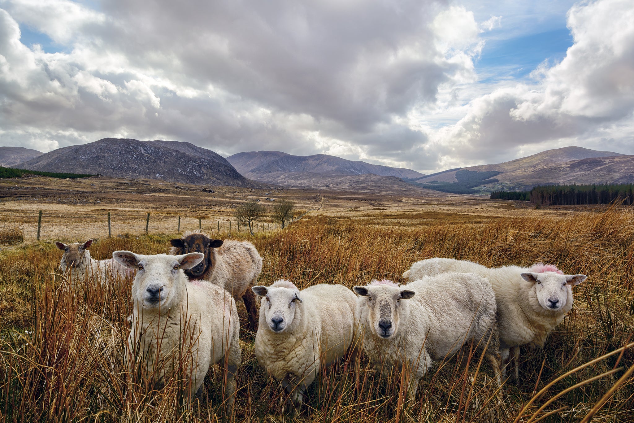 Interview with Gareth Wray