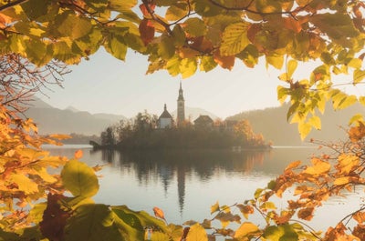 Through a window in the autumnal foliage, a church rises from an island in Lake Bled.