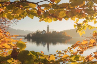Through a window in the autumnal foliage, a church rises from an island in Lake Bled.