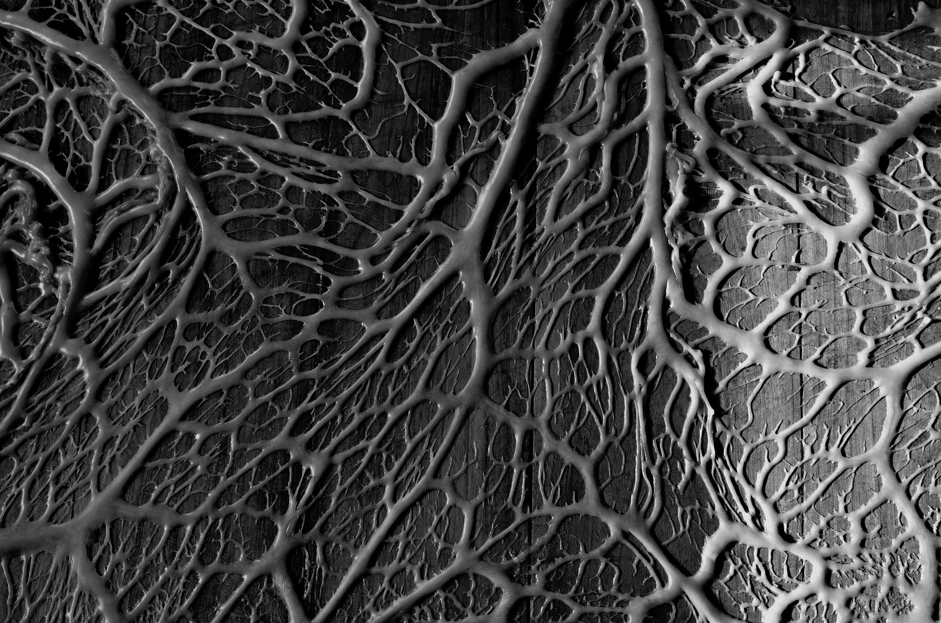 How to Make Mesmerising Minimal Photography