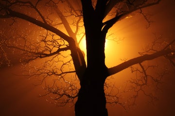 Ultimate Guide to Sunset Photography