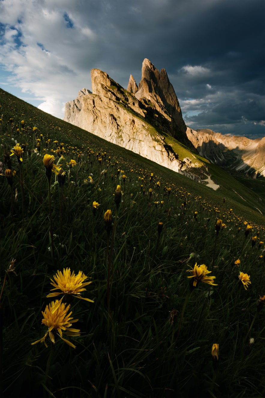 Ultimate Guide to Focus Stacking | Iceland Photo Tours