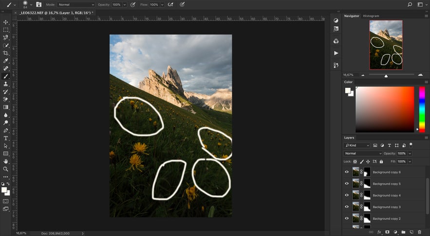 Ultimate Guide to Focus Stacking | Iceland Photo Tours