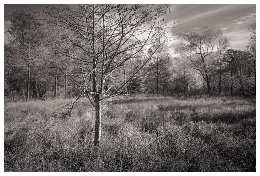 Ultimate Guide to Black and White Photography Ultimate Guide to Black and White Photography