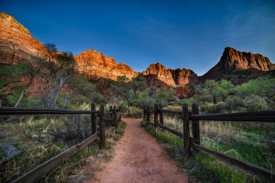 Ultimate Guide to Black and White Photography Ultimate Guide to Black and White Photography