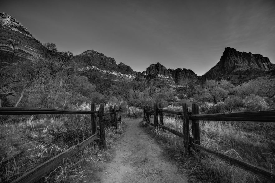Ultimate Guide to Black and White Photography Ultimate Guide to Black and White Photography