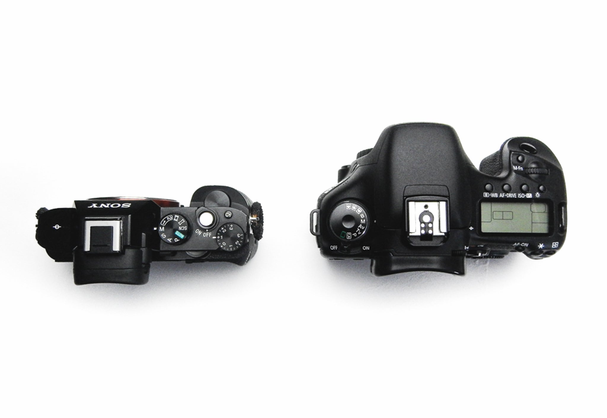 Overview of the Sony A7R Cameras for Landscape Photography