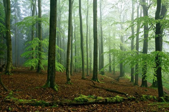 7 Day Germany & Czech Republic Photography Workshop