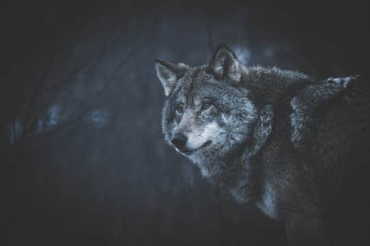 Arctic Borders | Norway & Sweden Photography Workshop