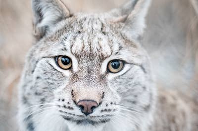 Arctic Borders | Norway & Sweden Photography Workshop - day 7