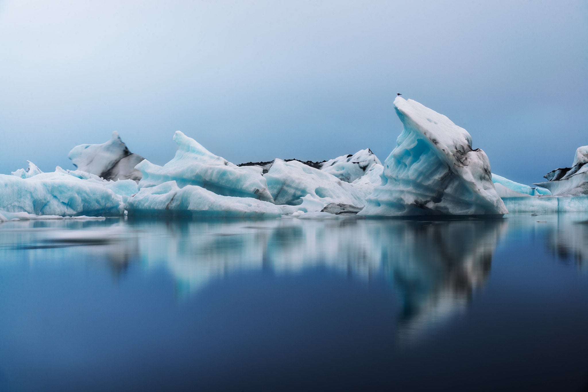 Best Cameras for Beginners in 2020