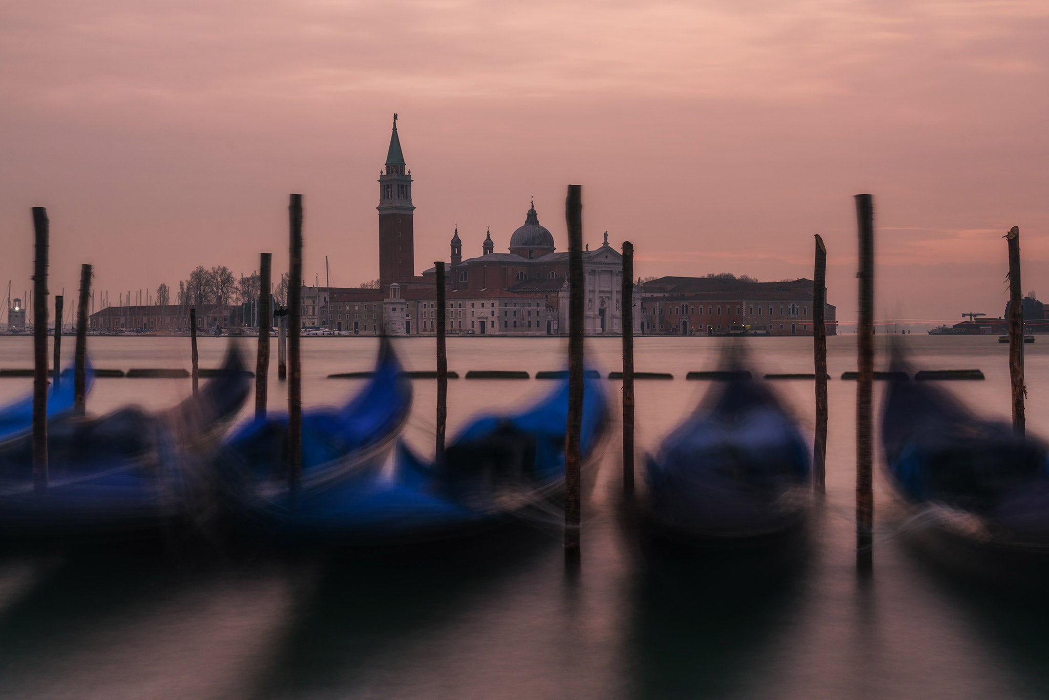 Best Cameras for Beginners in 2020