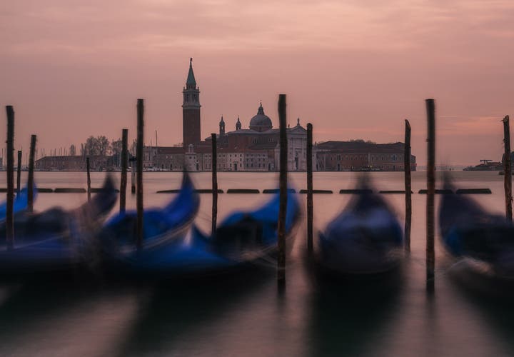 Best Cameras for Beginners in 2020