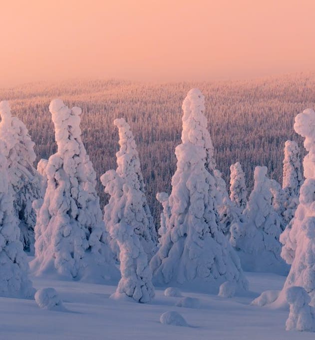 Finland Photo Tours and Workshops