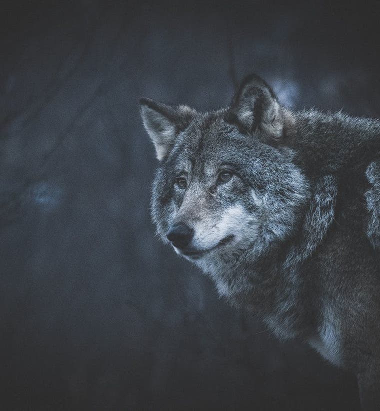 Sweden Photo Tours and Workshops