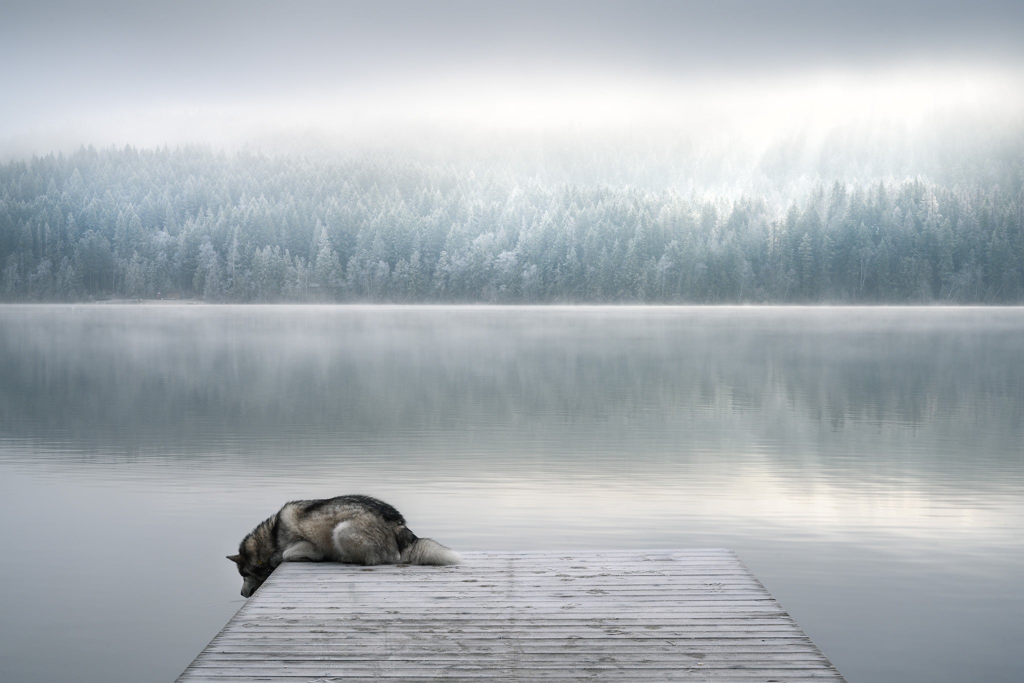 Interview with Viktoria Haack