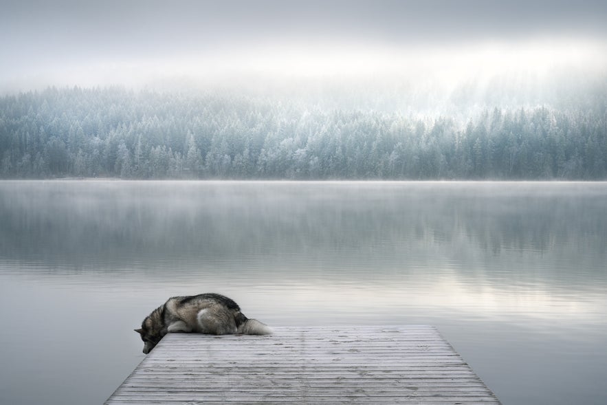Interview with Viktoria Haack Interview with Viktoria Haack