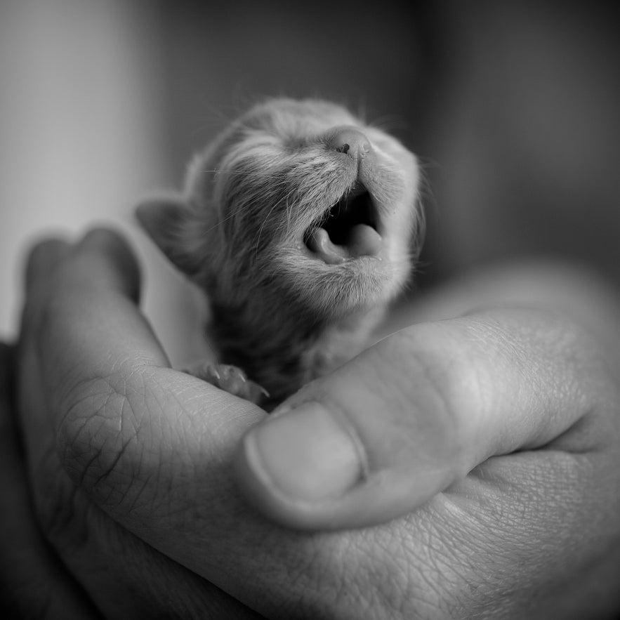 Interview with Viktoria Haack Interview with Viktoria Haack