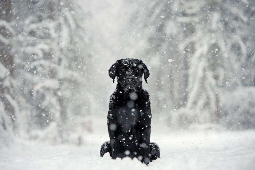 Interview with Viktoria Haack Interview with Viktoria Haack