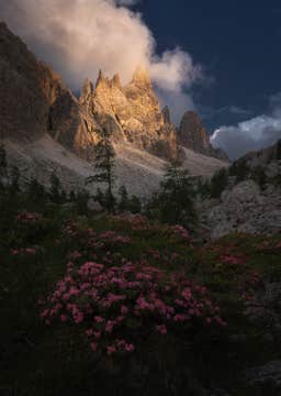 Summer in Dolomites | 7 Day Photo Workshop