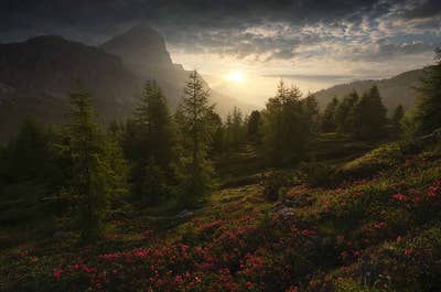 Summer in Dolomites | 7 Day Photo Workshop - day 4
