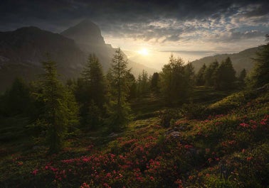 Summer in Dolomites | 7 Day Photo Workshop - day 4