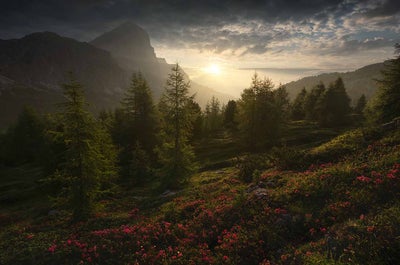 Summer in Dolomites | 7 Day Photo Workshop - day 4