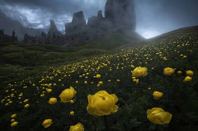 Summer in Dolomites | 7 Day Photo Workshop - day 5