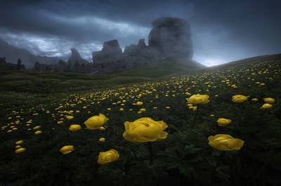 Summer in Dolomites | 7 Day Photo Workshop - day 5