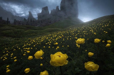 Summer in Dolomites | 7 Day Photo Workshop - day 5