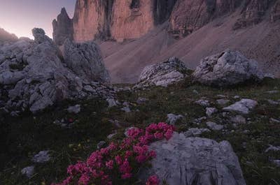Summer in Dolomites | 7 Day Photo Workshop - day 6
