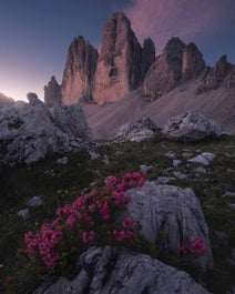 Summer in Dolomites | 7 Day Photo Workshop - day 6