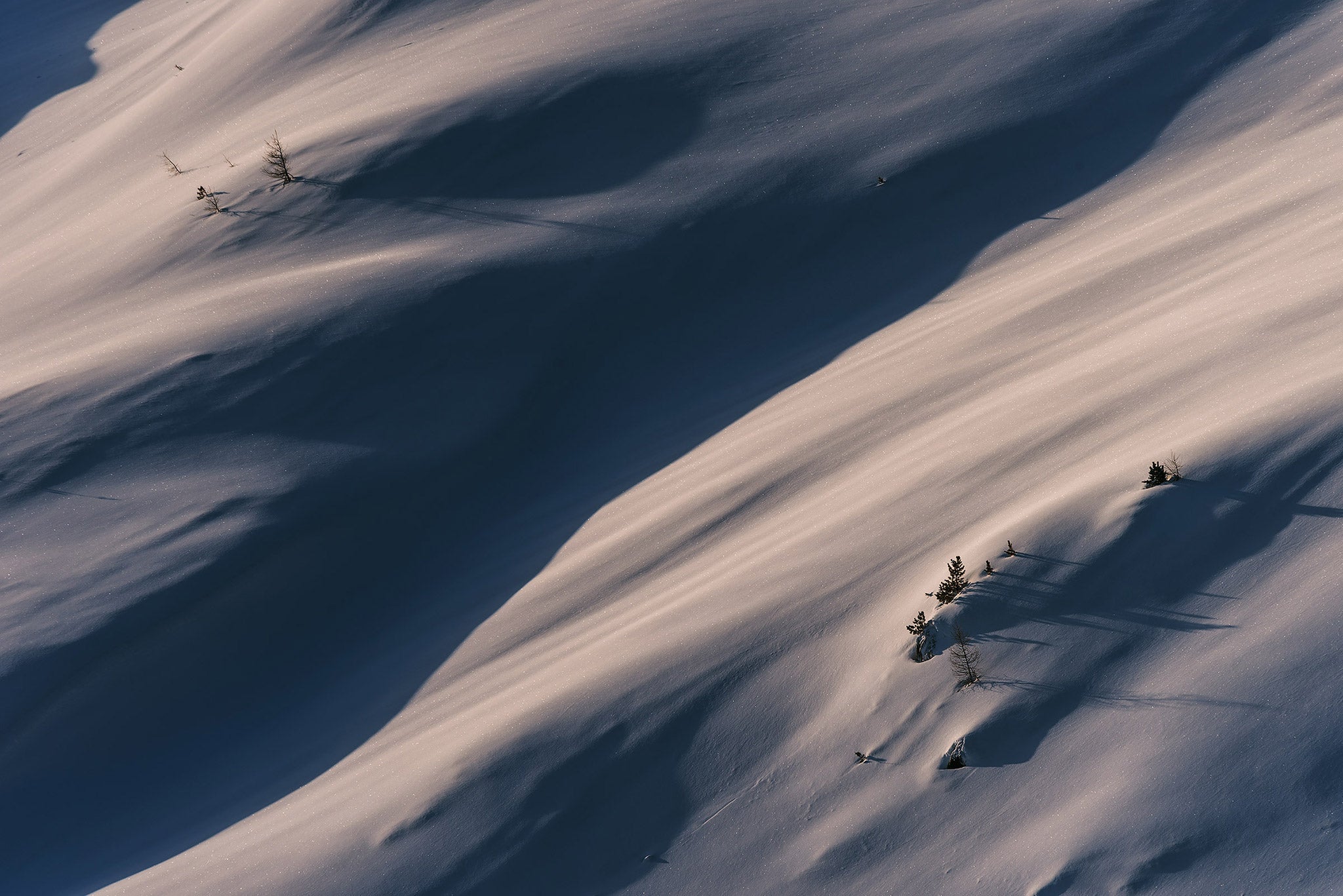 Ultimate Guide to Winter Photography