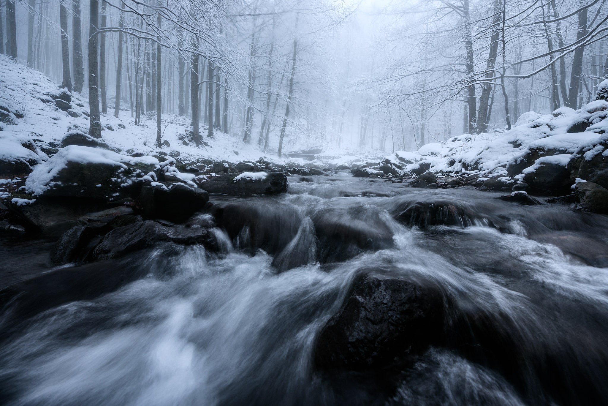 Ultimate Guide to Winter Photography