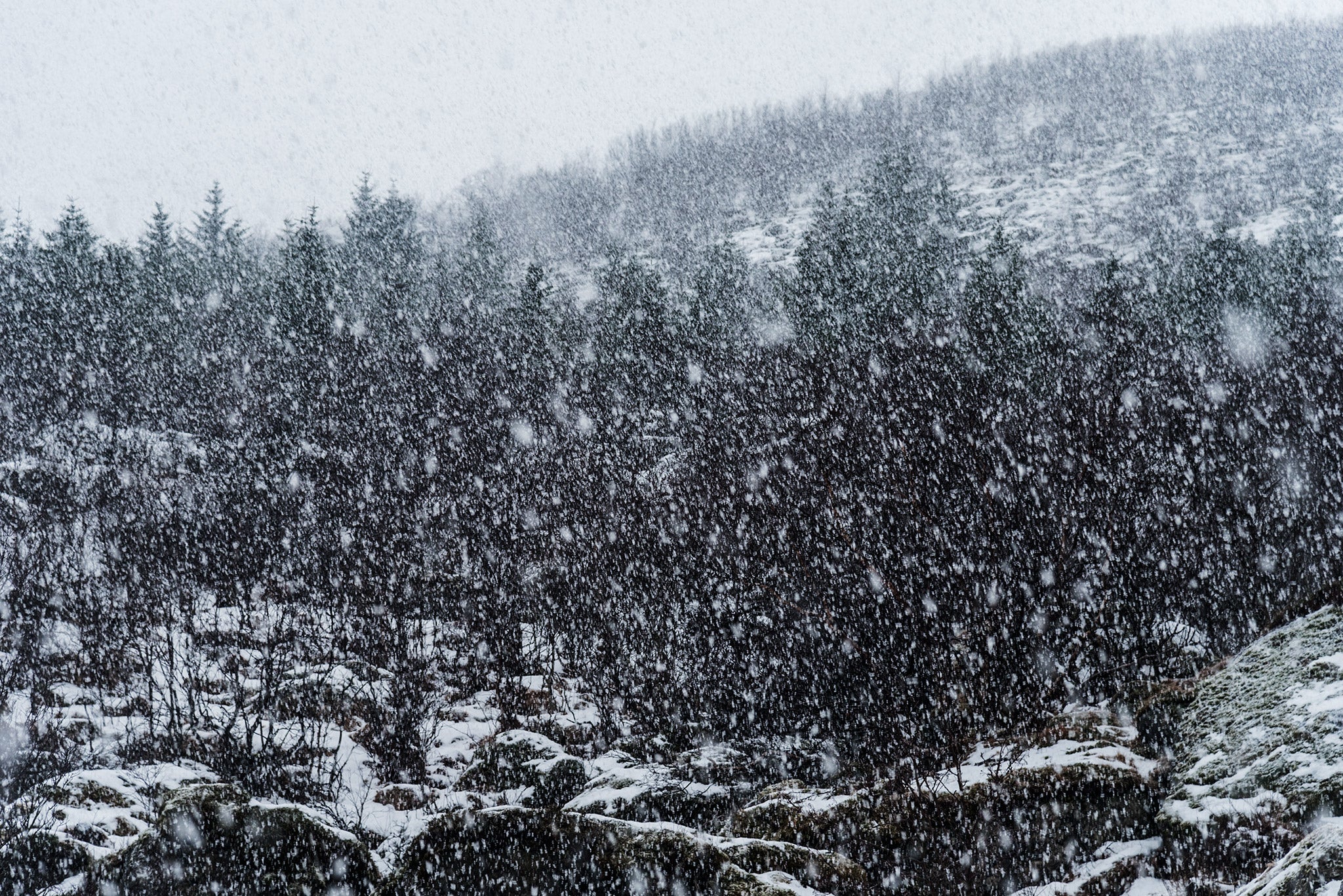 Ultimate Guide to Winter Photography