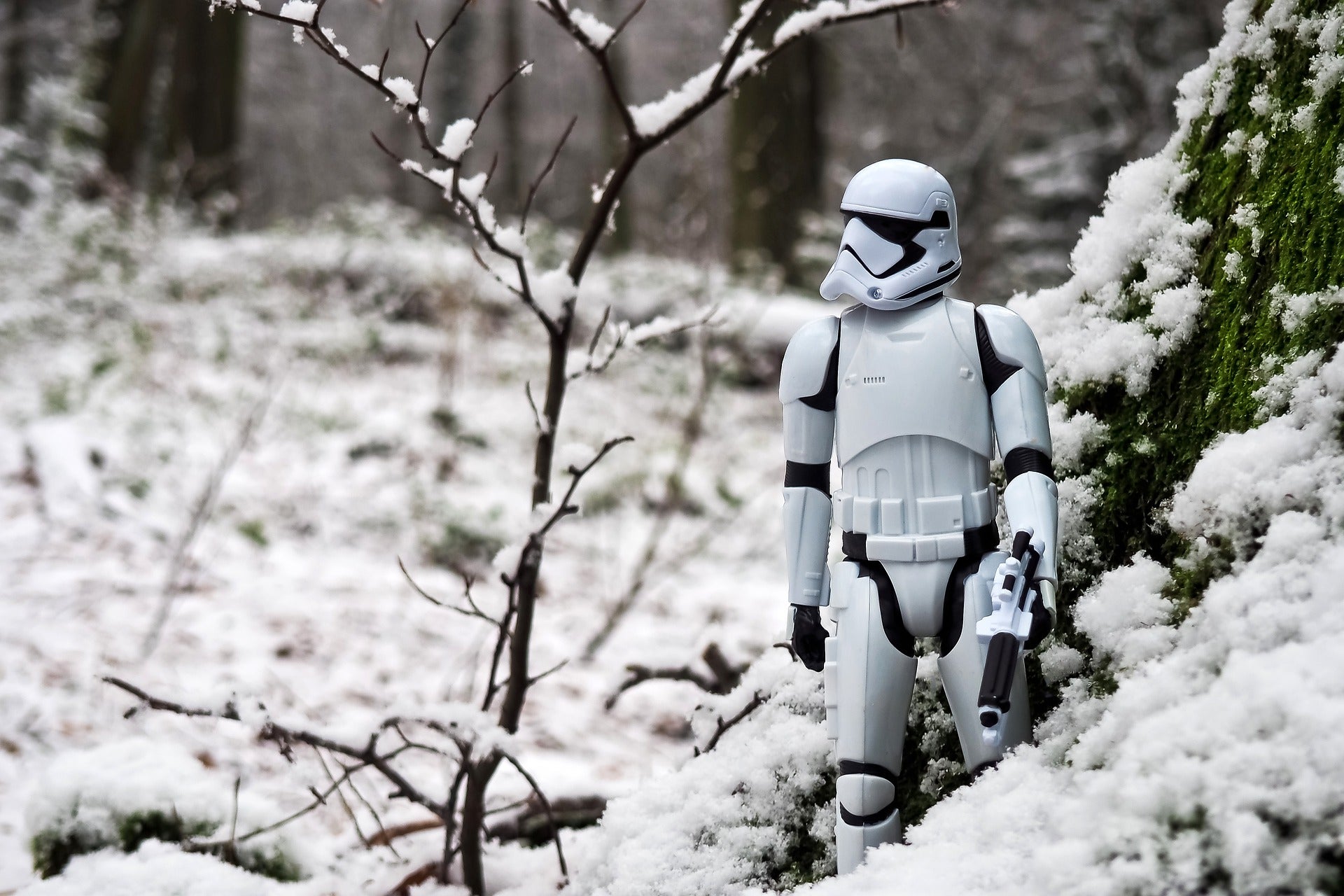 Ultimate Guide to Winter Photography