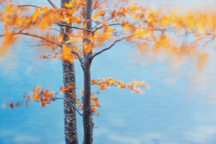 11 Tips for Amazing Autumn Photography | Iceland Photo Tours