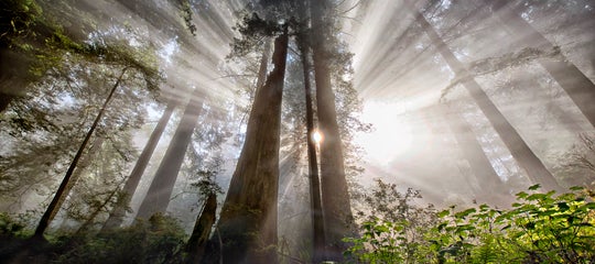 SapnaReddy-Interview-Photo Jun 01, 10 29 08 PM.jpg