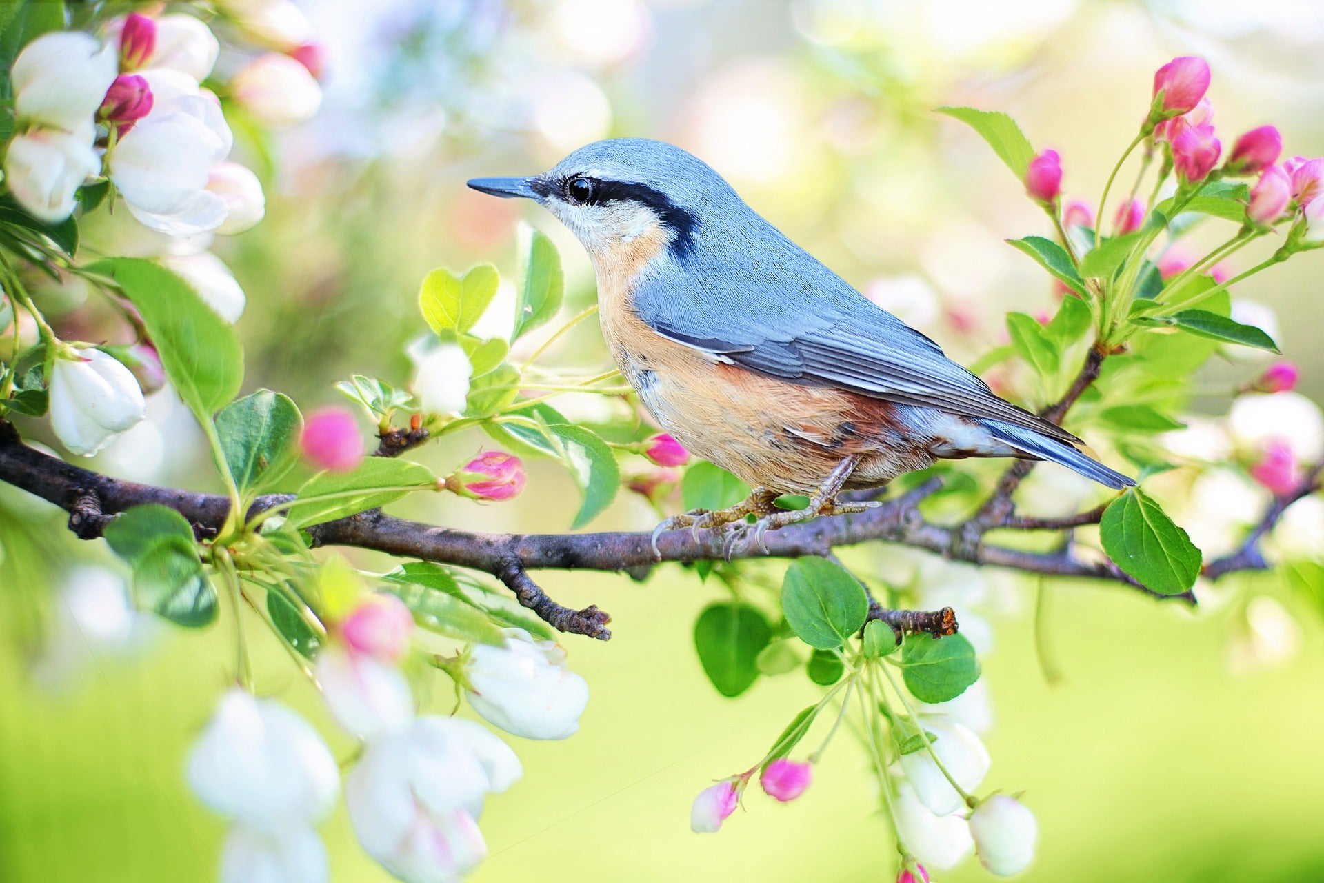 13 Photography Ideas You Need to Try in Spring