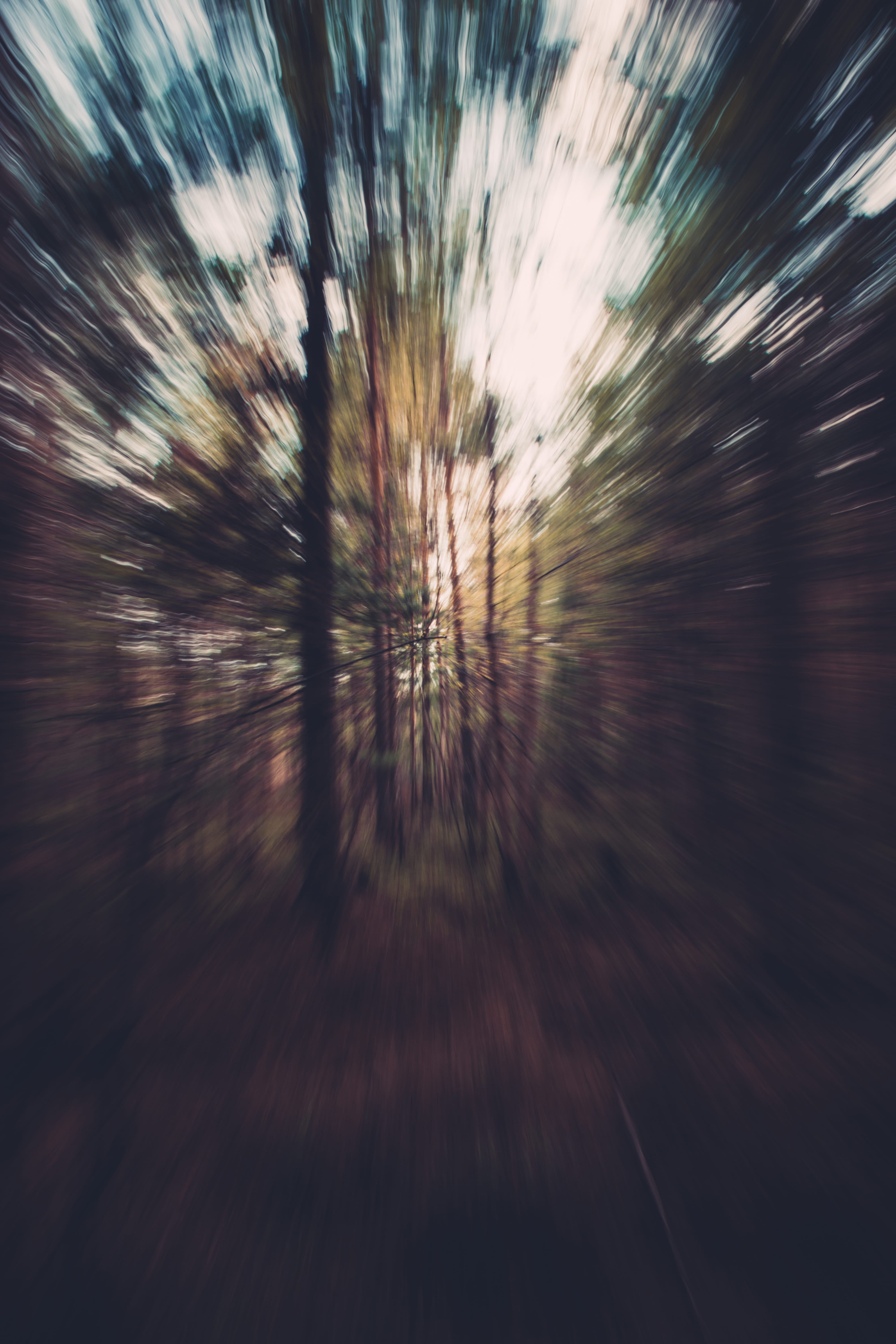 13 Photography Ideas You Need to Try in Spring